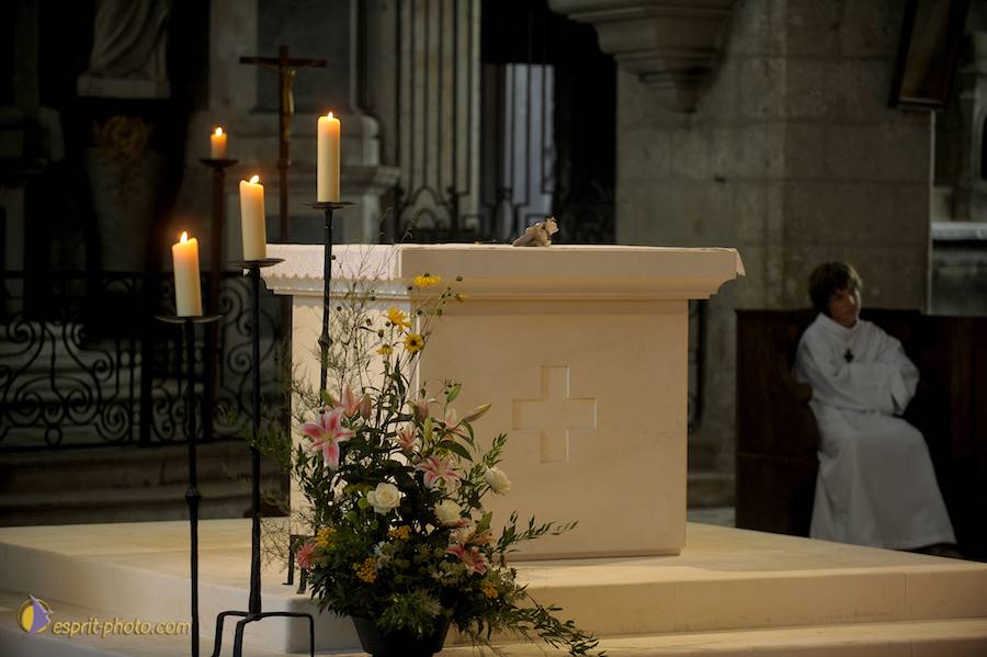 Nom de l'image : D30080160_1_(c)Norbert-JUNG — Description :